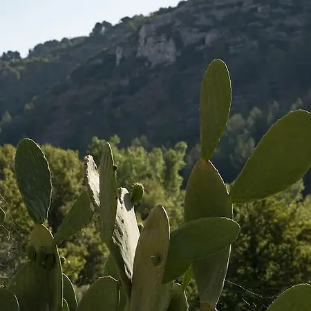 La Rocca *